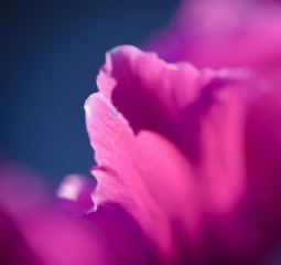 20140209-DSC_9530