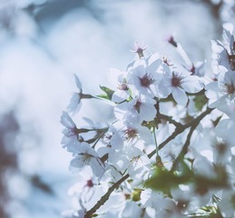 20120401-DSC_7978