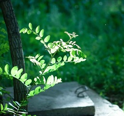 20140608-20140608-DSC00659