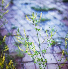 20140608-20140608-DSC00998