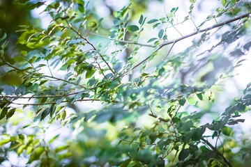 20140621-DSC01139