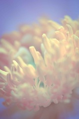 20120501-DSC_9857