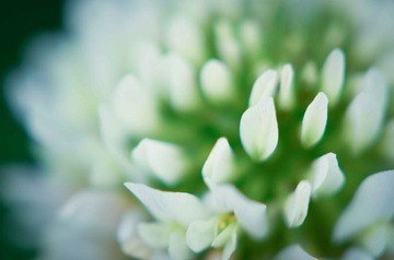 20120419-DSC_8809