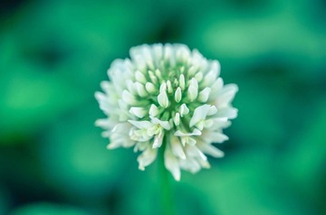 20120419-DSC_8814