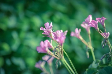 20120426-DSC_9171