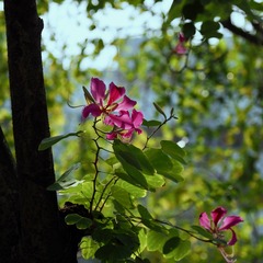 P2100196
