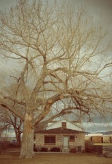 20120214-DSC_0051.jpg