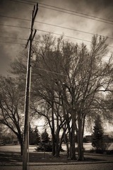 20120307-DSC_0029.jpg