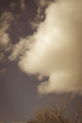 20120329-DSC_0072.jpg