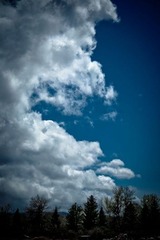 20120427-DSC_0103.jpg