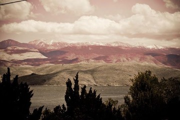 20120427-DSC_0113.jpg