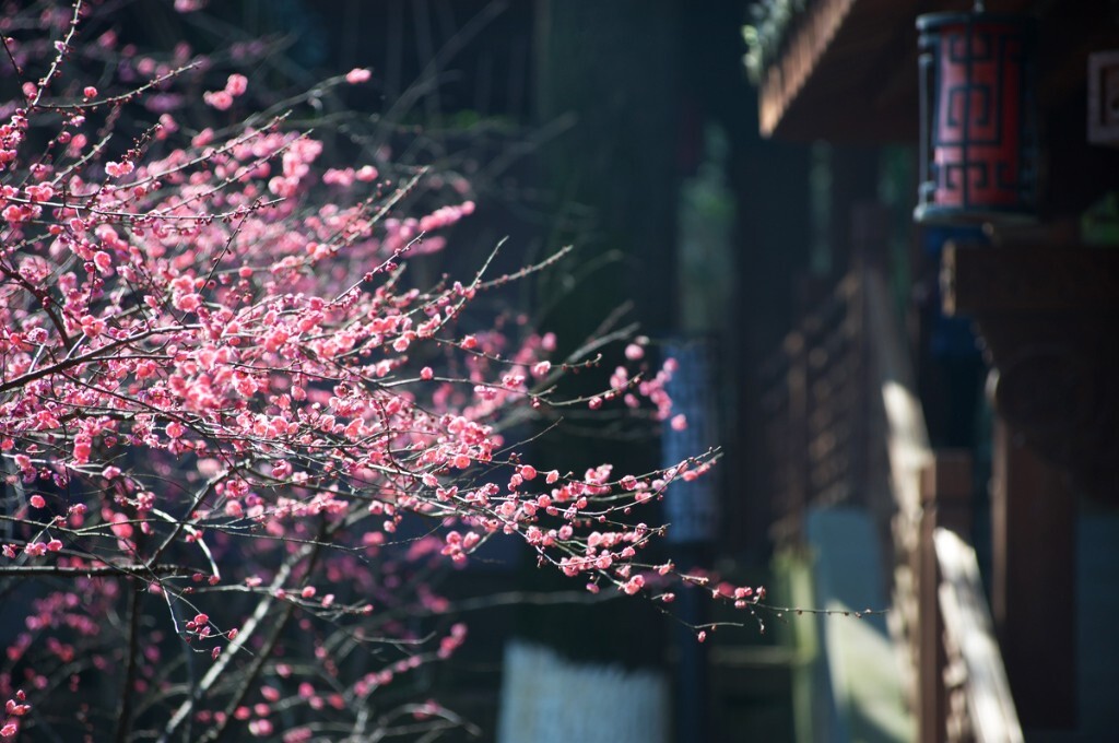 超山 大明堂