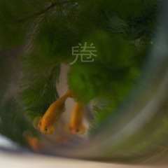 魚