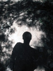 Shadow副本