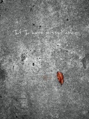 if i have missed you Ⅱ