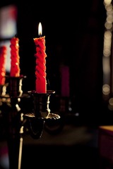 _MG_7869.JPG