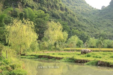 IMG_1804S.jpg