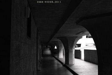 IMG_2500S.jpg