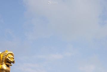 IMG_3392.jpg