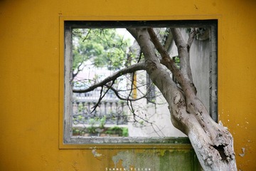IMG_3672 副本.jpg