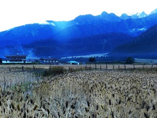 西藏2011 195