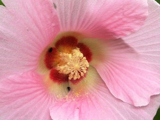 DSCN0169.JPG
