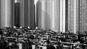 _MG_8621.jpg
