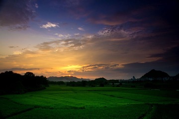 芳草碧连天