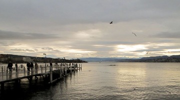 IMG_0610_1.jpg