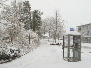 IMG_0790.jpg