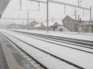 IMG_0788.jpg