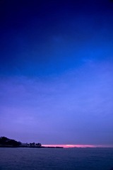 DSC01866.jpg