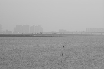DSC02751.jpg