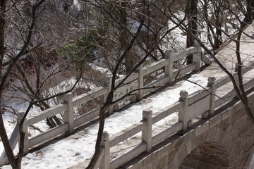 DSC03896-1.jpg