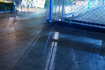 光
