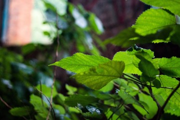 DSC04471_1.jpg
