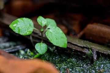 DSC04490.jpg