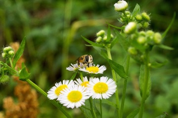 DSC04579_1.jpg