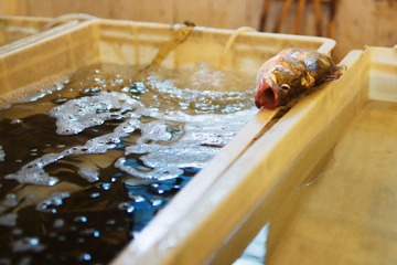 DSC05027-编辑.jpg