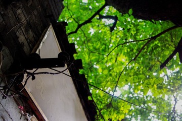 DSC05052-编辑.jpg