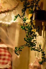 DSC05910.jpg