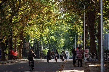 DSC01010小.jpg
