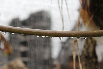 _MG_5077_副本.jpg
