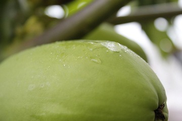_MG_5096_副本.jpg