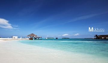 DSC_4897.jpg