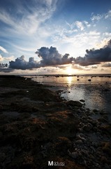 DSC_5356.jpg