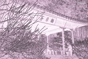IMG_6416.jpg