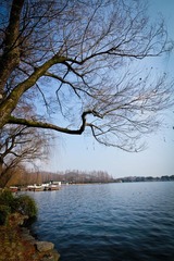 IMG_1127.jpg
