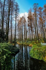 IMG_1128.jpg