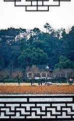 IMG_1191.jpg
